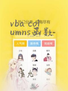 vba columns函数