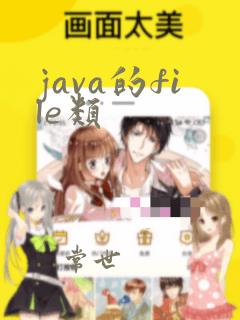 java的file类