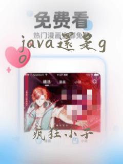 java还是go