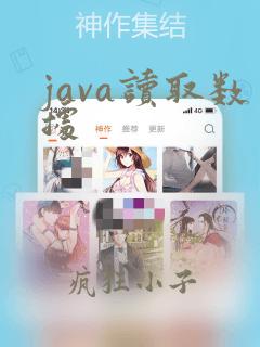 java读取数据