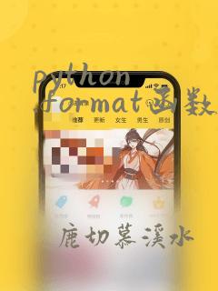 python .format函数