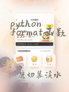 python format函数用法