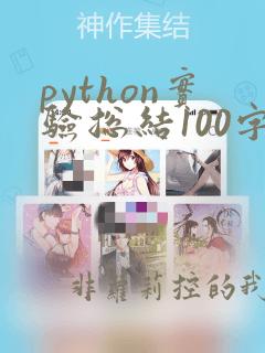 python实验总结100字