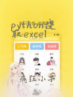 python提取excel