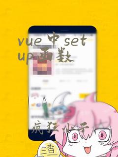 vue中setup函数