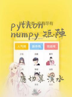 python numpy 矩阵