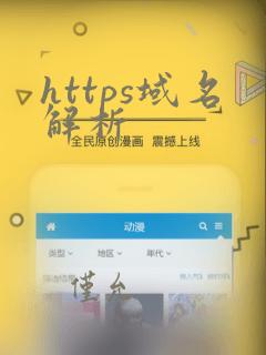 https域名解析