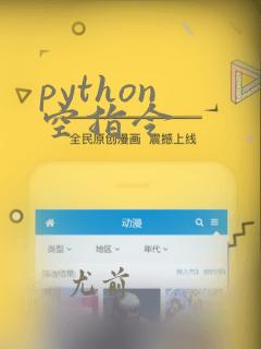 python 空指令