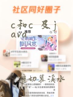 c和c  及java