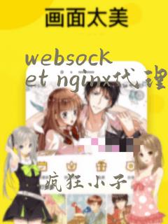 websocket nginx代理https