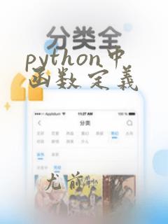 python中函数定义