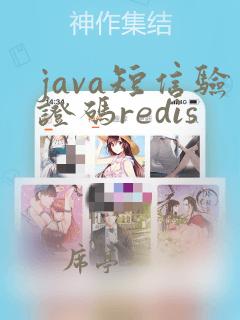 java短信验证码redis