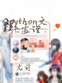 python文件处理