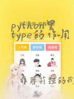 python里type的作用