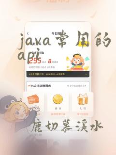 java常用的api