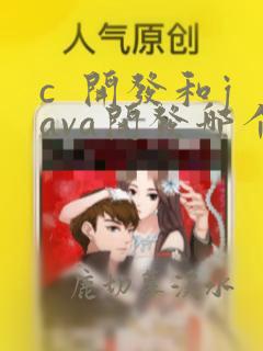 c 开发和java开发哪个好