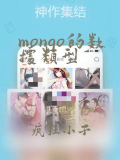 mongo的数据类型