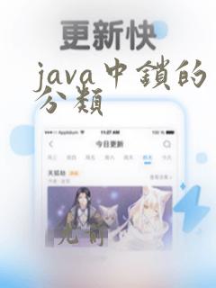 java中锁的分类