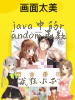 java中的random函数
