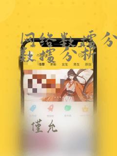 网络数据分析 数据分析