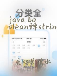 java boolean转string