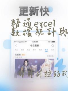 精通excel数据统计与分析 pdf