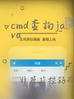 cmd查询java