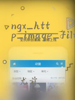 ngx_http_image_filter_module