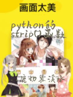 python的strip()函数