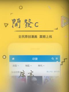 开发c