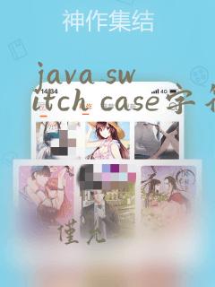 java switch case字符串