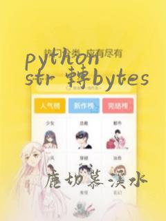 python str 转bytes