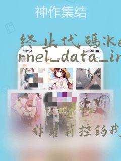 终止代码:kernel_data_inpage_error