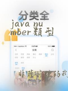 java number类型