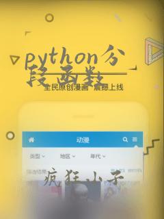 python分段函数