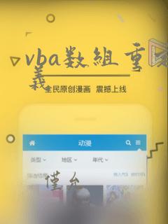 vba数组重定义