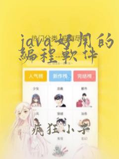 java好用的编程软件