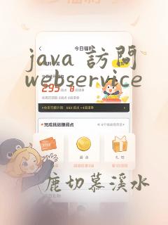 java 访问webservice