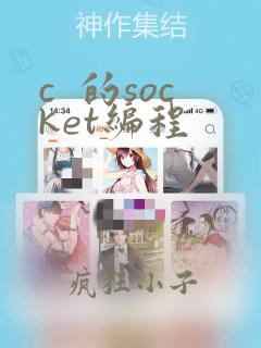 c  的socket编程