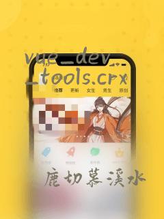 vue_dev_tools.crx