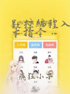 数控编程入门基本指令