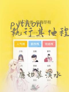python 执行其他程序