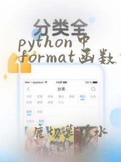 python中format函数的用法