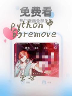 python中的remove
