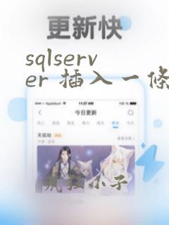 sqlserver 插入一条数据
