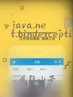 java.net.bindexception: 地址已在使用