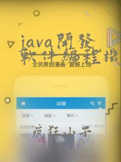 java开发 软件编程机构