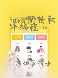 java开发软件编程
