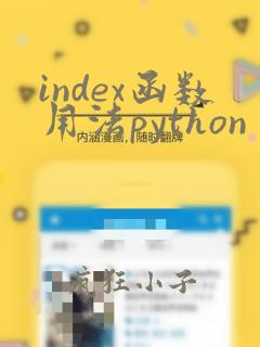index函数用法python