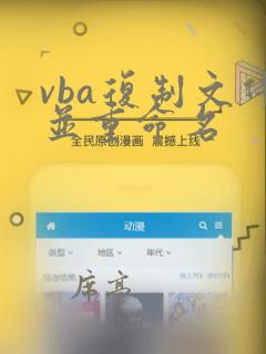 vba复制文件并重命名